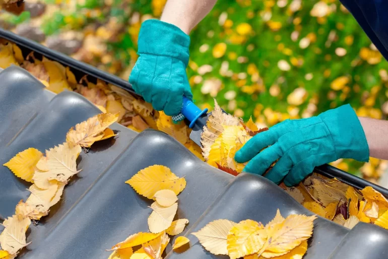 Gutter cleaning services